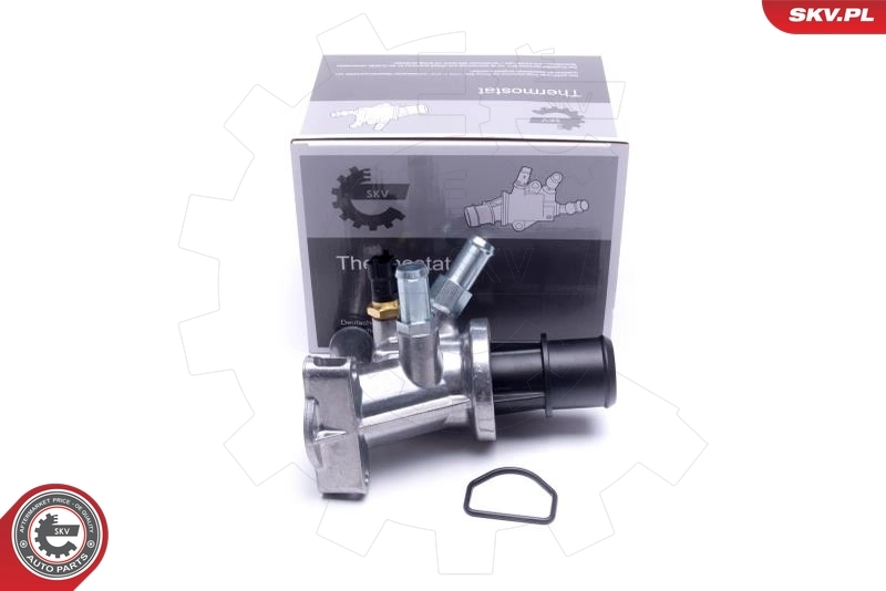Thermostat, coolant